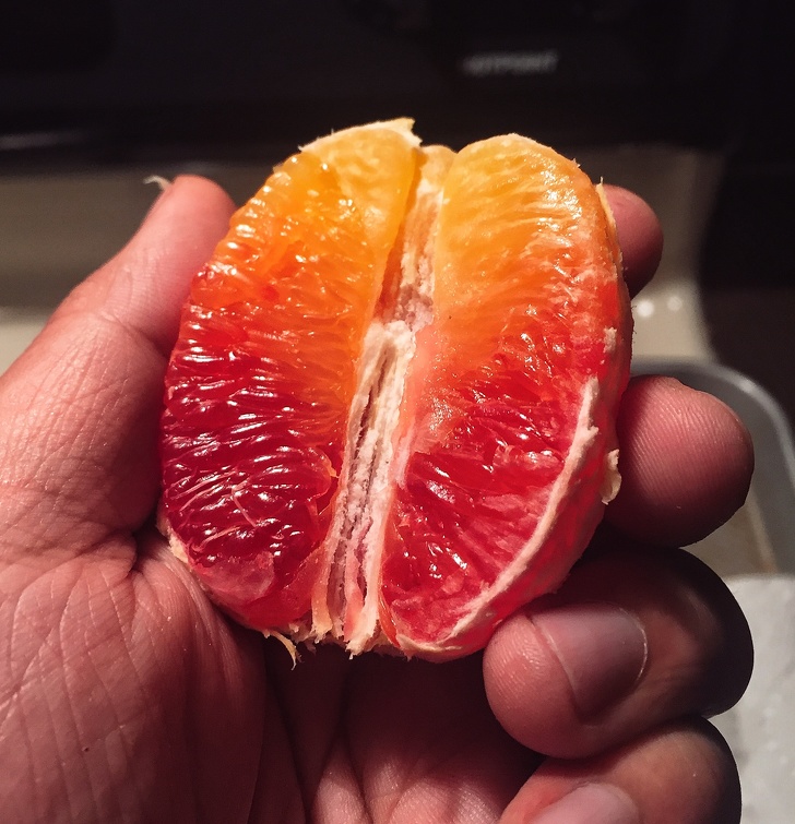 Food Photos For Perfectionists (20 pics)
