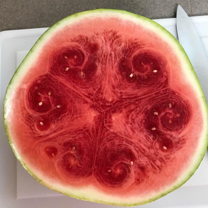Food Photos For Perfectionists (20 pics)