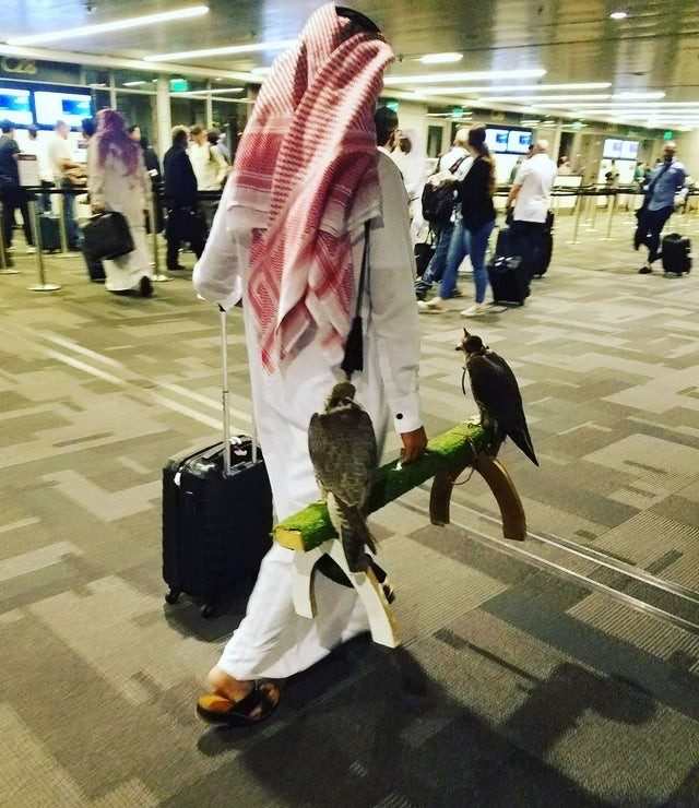 Unusual Situations And Finds In Airports (21 pics)
