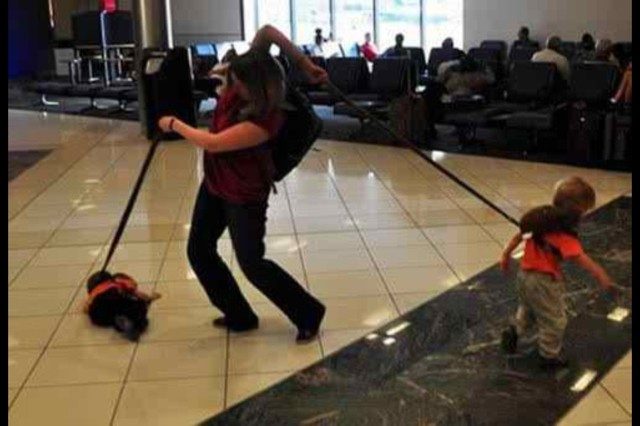 Unusual Situations And Finds In Airports (21 pics)