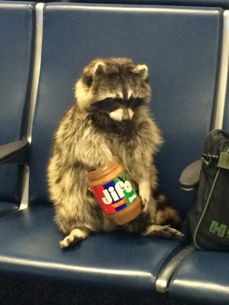 Unusual Situations And Finds In Airports (21 pics)