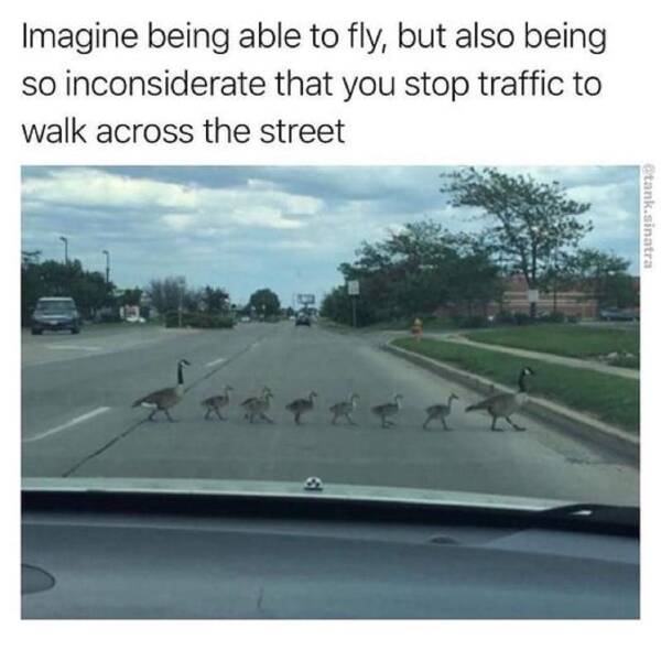 Daily Pictures. Part 2 (74 pics)
