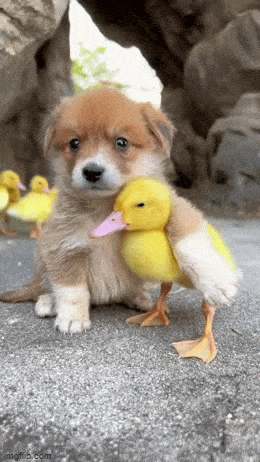 Acid GIFs, July 10 (25 gifs)