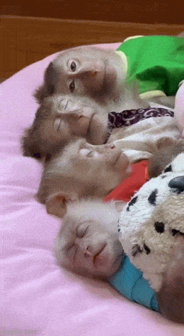 Acid GIFs, July 10 (25 gifs)