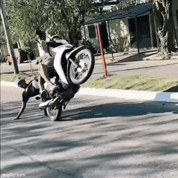 Acid GIFs, July 10 (25 gifs)