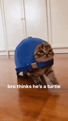 Acid GIFs, July 10 (25 gifs)
