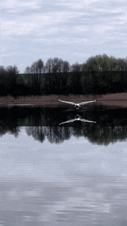 Acid GIFs, July 10 (25 gifs)