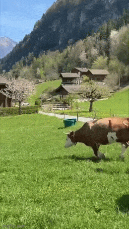 Acid GIFs, July 10 (25 gifs)