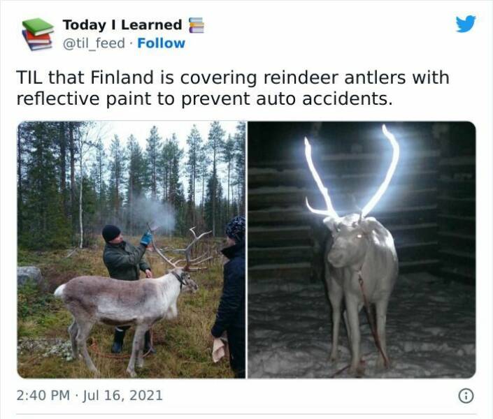 Interesting Facts (19 pics)