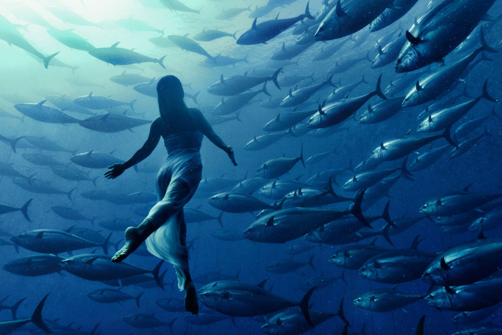 Amazing Photos From Around The World (24 pics)