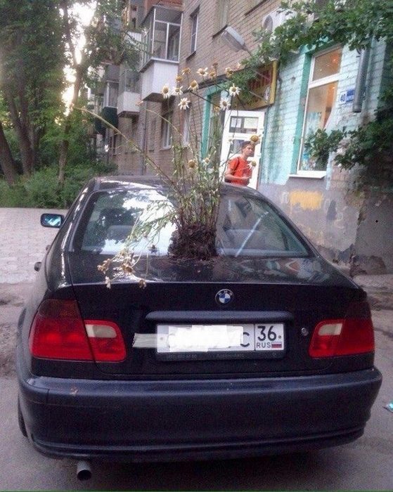 Revenge For Wrong Parking (17 pics)