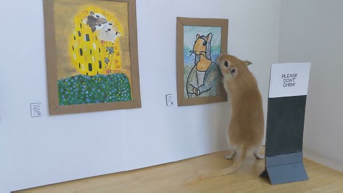 Funny Hamsters (21 pics)
