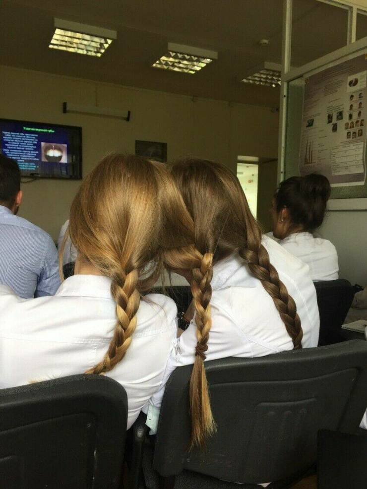 Daily Pictures. Part 1 (72 pics)