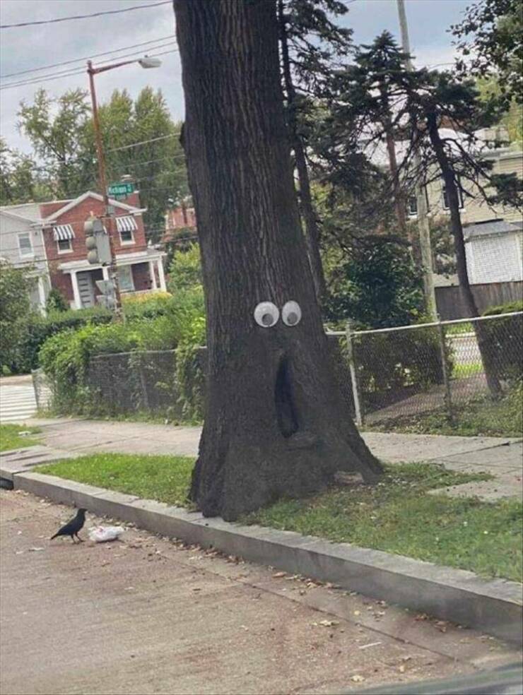Daily Pictures. Part 2 (71 pics)