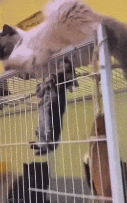 Acid GIFs, July 11 (25 gifs)