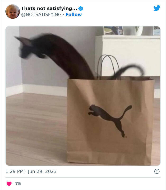 Weird And Funny Tweets (26 pics)