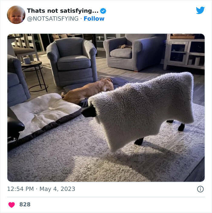 Weird And Funny Tweets (26 pics)