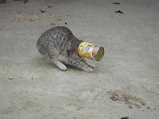 They Need Your Help (26 pics)