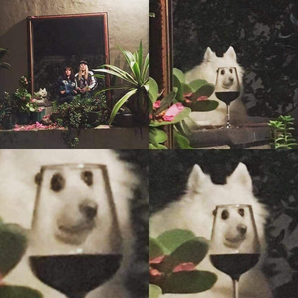 Right Moment (15 pics)