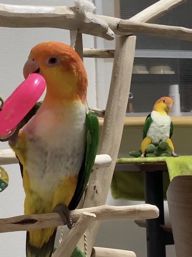 Right Moment (15 pics)