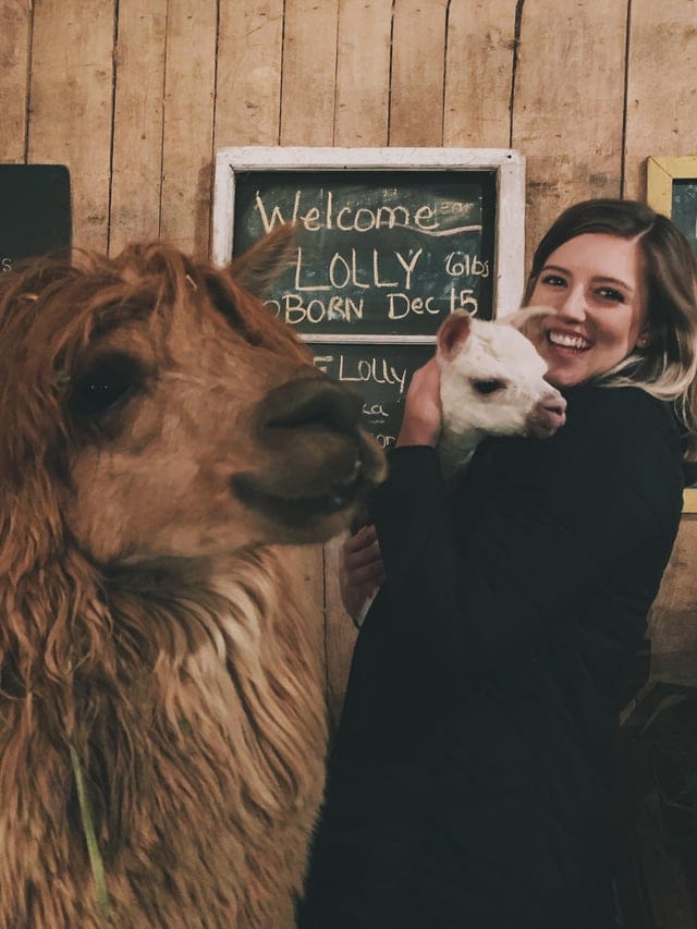 Right Moment (15 pics)