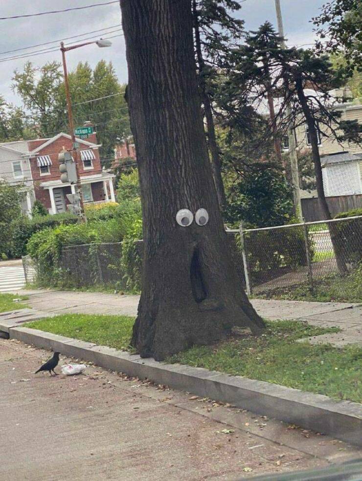 Daily Pictures. Part 1 (78 pics)