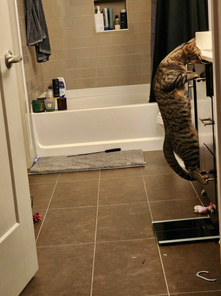Daily Pictures. Part 1 (78 pics)