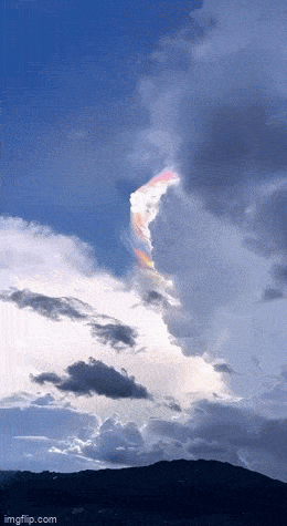 Acid GIFs, July 12 (25 gifs)