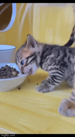 Acid GIFs, July 12 (25 gifs)