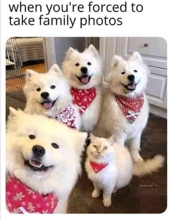 Funny Memes (23 pics)