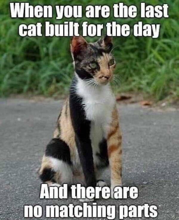 Funny Memes (23 pics)
