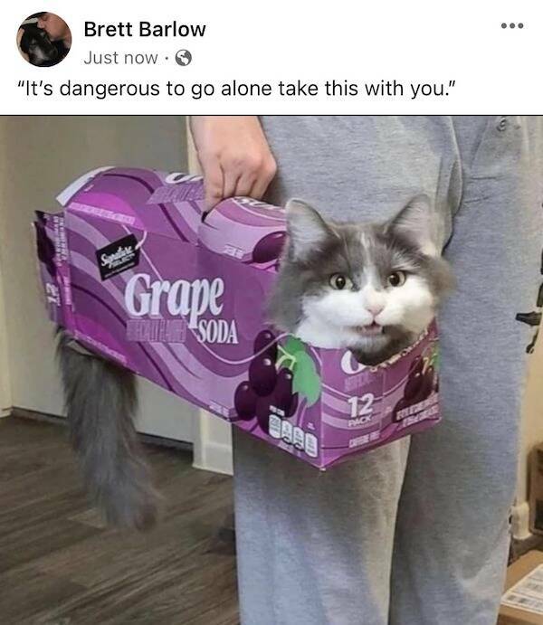 Funny Memes (23 pics)