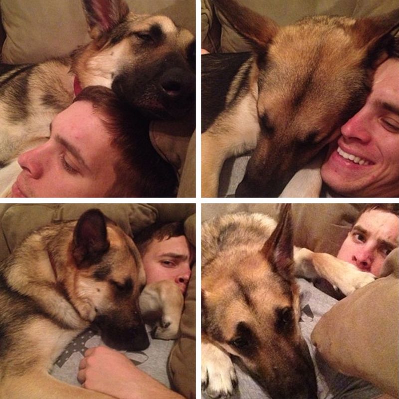 Dogs Don't Know About Personal Space (18 pics)