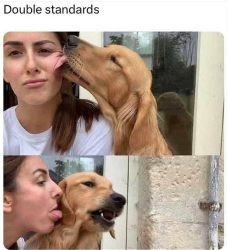 Daily Pictures. Part 2 (74 pics)