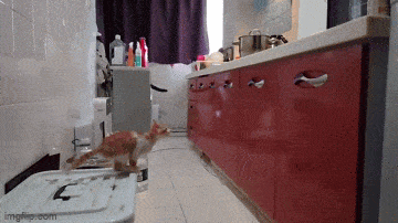 Acid GIFs, July 13 (25 gifs)