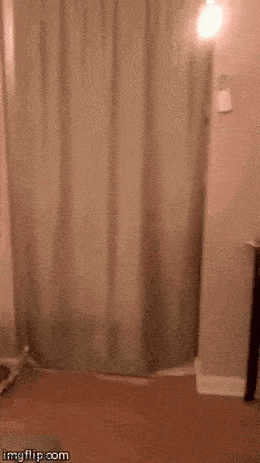 Acid GIFs, July 13 (25 gifs)