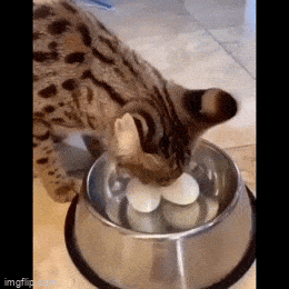 Acid GIFs, July 13 (25 gifs)