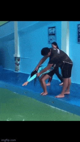 Acid GIFs, July 13 (25 gifs)