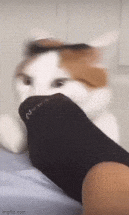 Acid GIFs, July 13 (25 gifs)