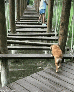 Acid GIFs, July 13 (25 gifs)