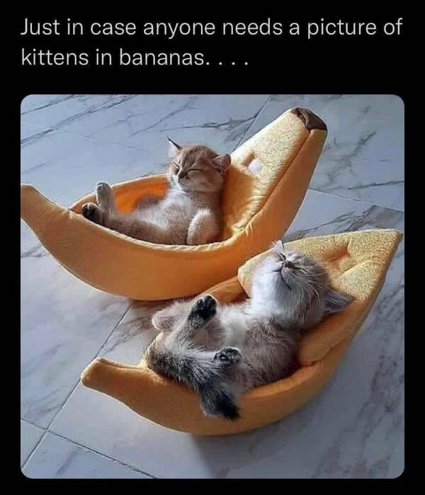 Food Memes (21 pics)
