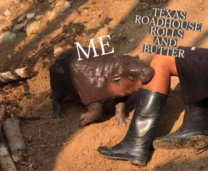 Food Memes (21 pics)