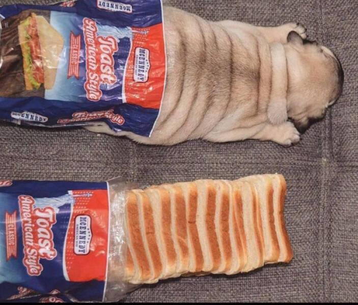Food Memes (21 pics)