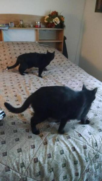Glitch In The Matrix (26 pics)