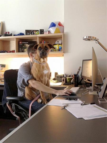 Funny Work Photos (21 pics)