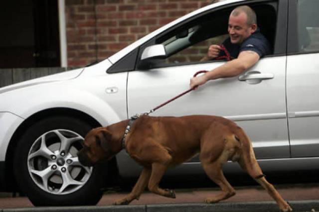 Lazy People (29 pics)