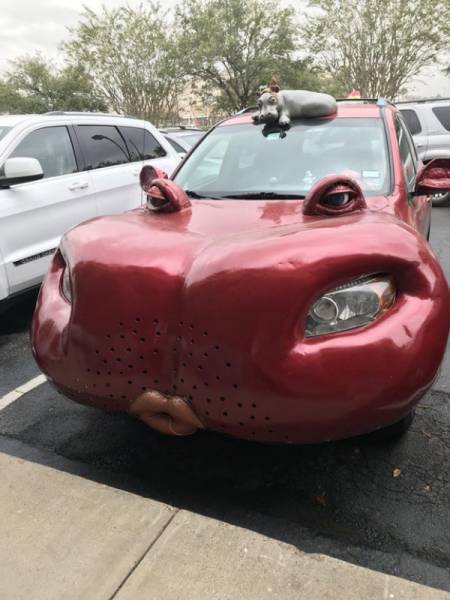 Weird Designs (23 pics)
