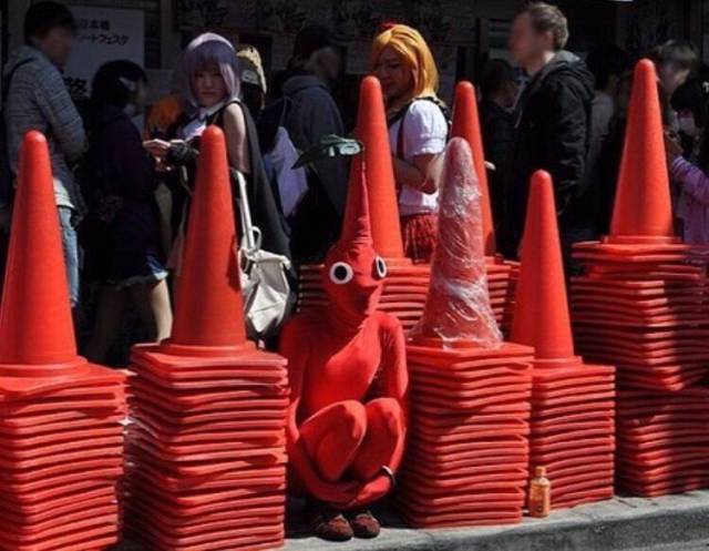 What Is Going On Here? (30 pics)
