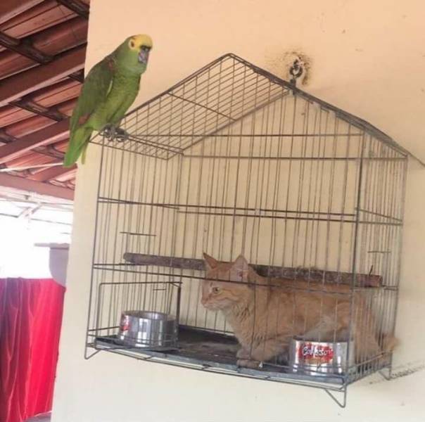 What Is Going On Here? (30 pics)