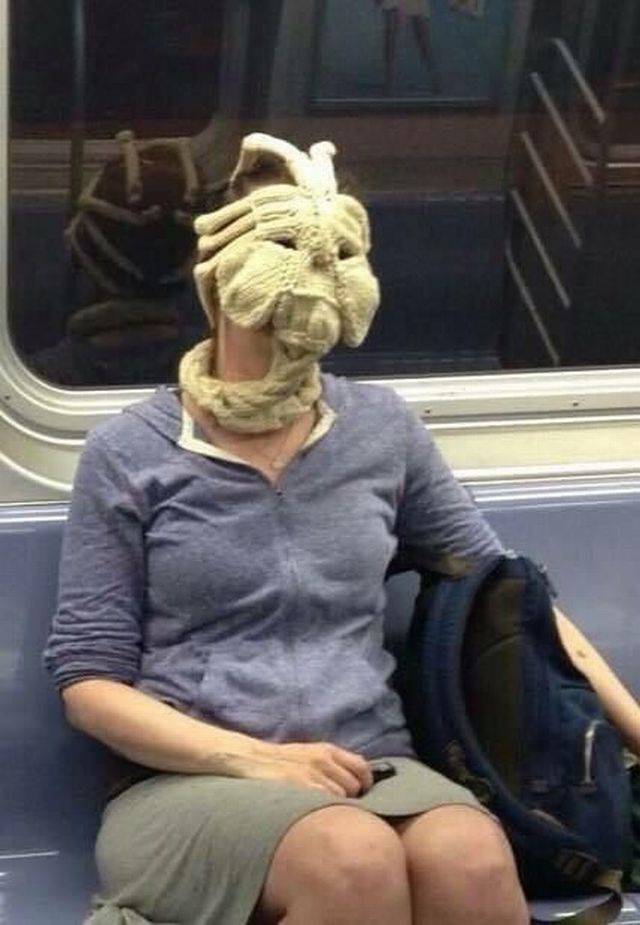 What Is Going On Here? (30 pics)